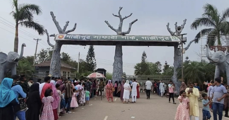 ছবি: প্রতিনিধি