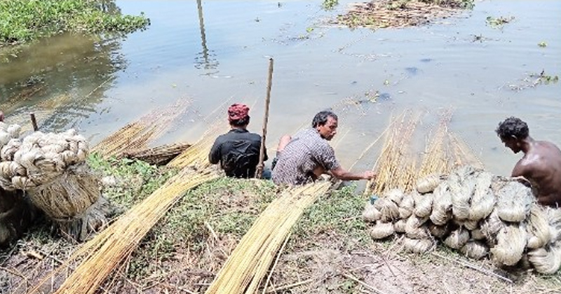 ছবি: প্রতিনিধি