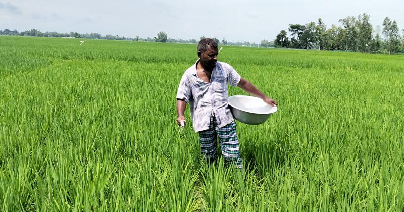 ছবি: প্রতিনিধি