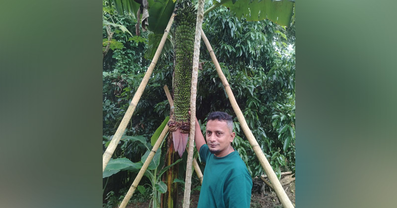 ছবি: প্রতিবেদক