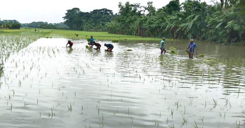 ছবি: প্রতিনিধি