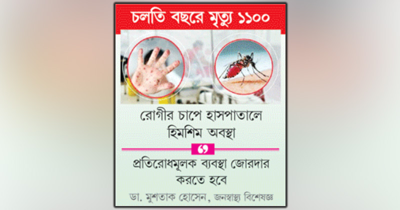 ছবি : খোলা কাগজ