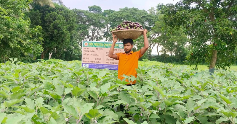 কৃষক মাঈন উদ্দিন। ছবি : প্রতিনিধি