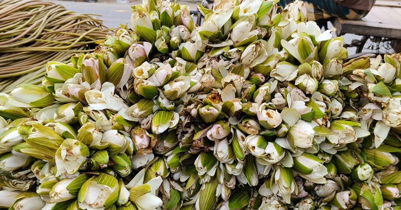 ছবি: প্রতিনিধি