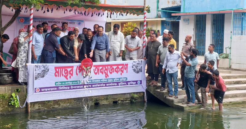ছবি: প্রতিনিধি