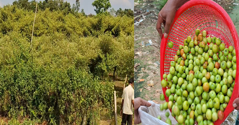 ছবি: প্রতিনিধি