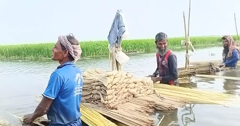 ছবি: প্রতিনিধি