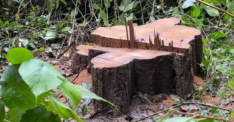 ছবি: প্রতিবেদক