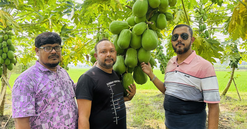 ছবি: প্রতিনিধি