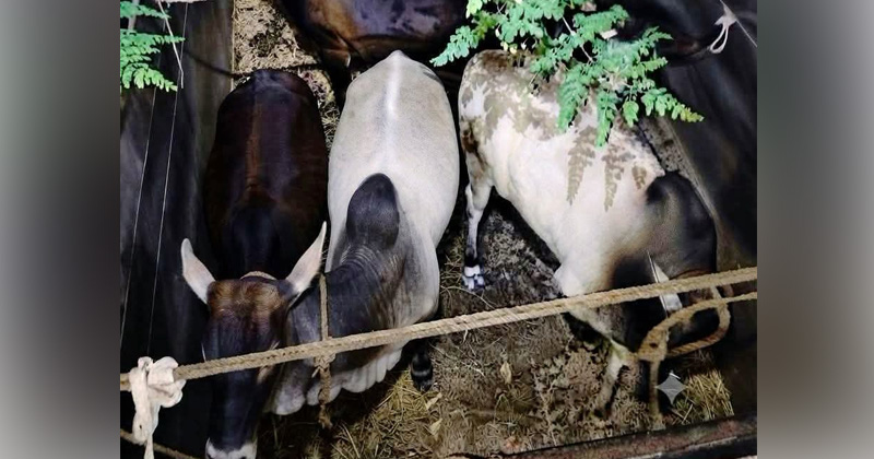 ছবি: প্রতিনিধি