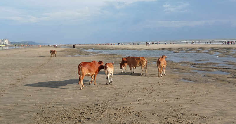 ছবি: প্রতিবেদক