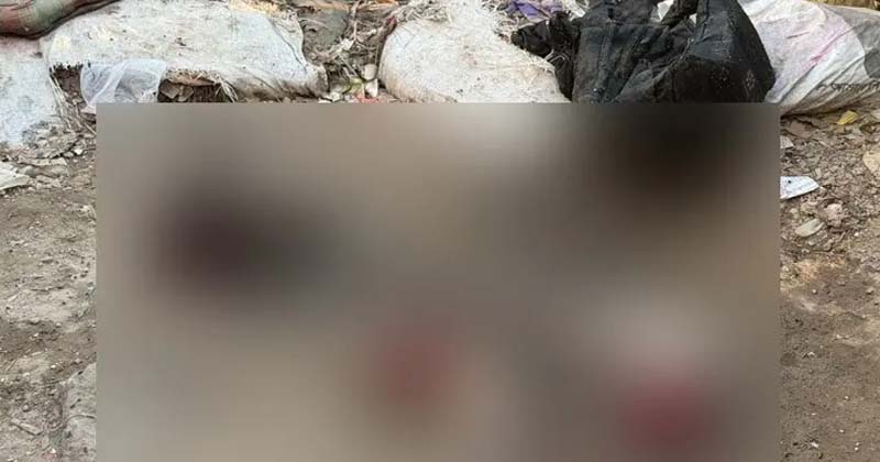 আদাবরে নারীর খণ্ডিত মৃতদেহ উদ্ধার
