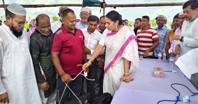 ছবি: খোলা কাগজ