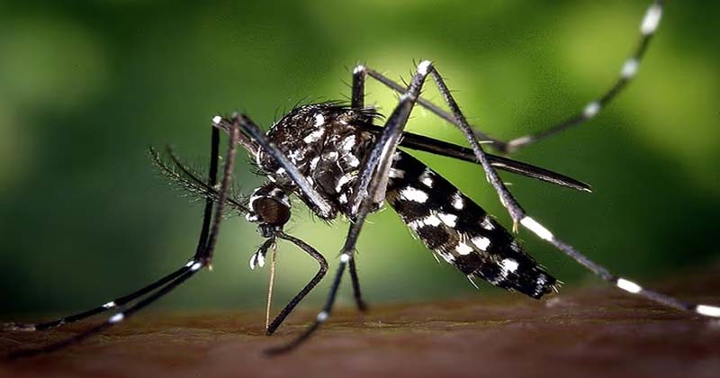 প্রতীকী ছবি