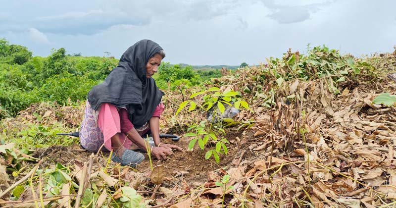 ছবি: প্রতিনিধি