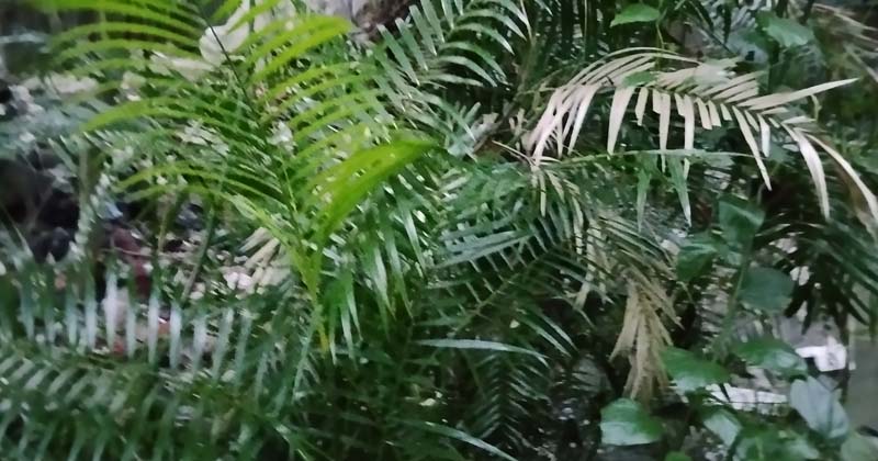 ছবি: প্রতিনিধি