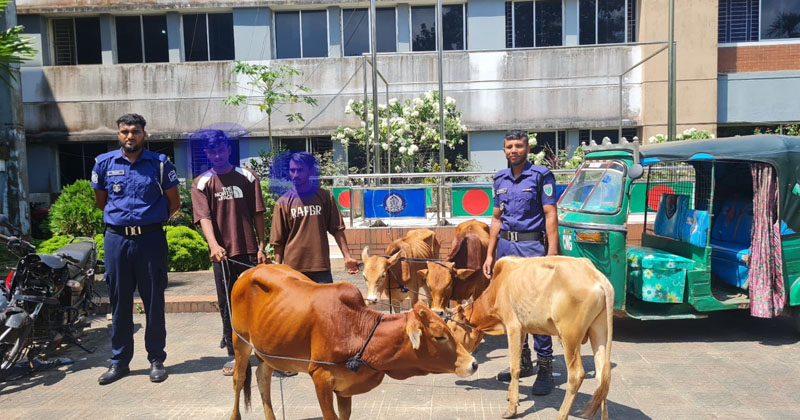 ছবি: প্রতিনিধি