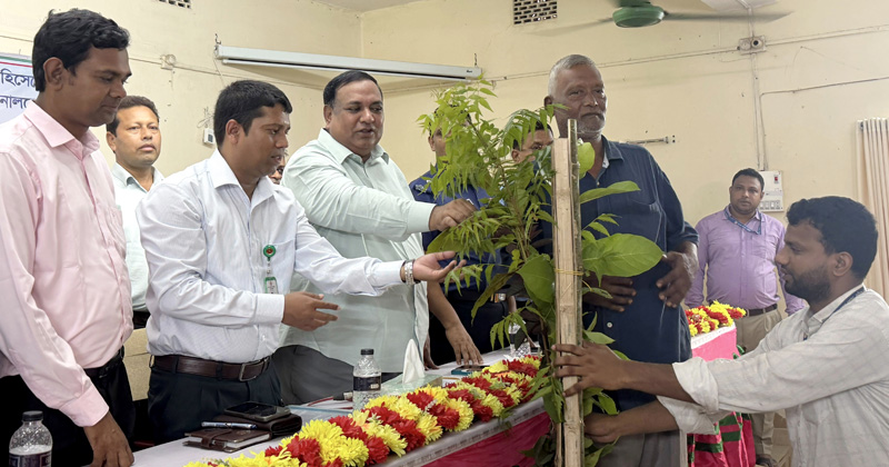 ধর্মীয় প্রতিষ্ঠানে চারা গাছ বিতরণ করলেন সাংসদ রোকন উদ্দিন