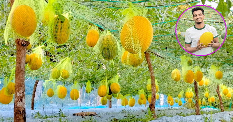 ছবি: প্রতিবেদক