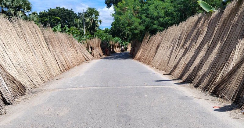 ছবি: প্রতিনিধি
