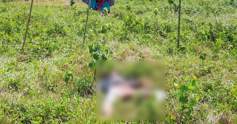 ছবি: প্রতিনিধি