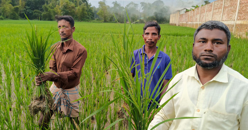 ছবি: প্রতিনিধি