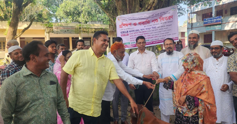 ছবি: প্রতিনিধি