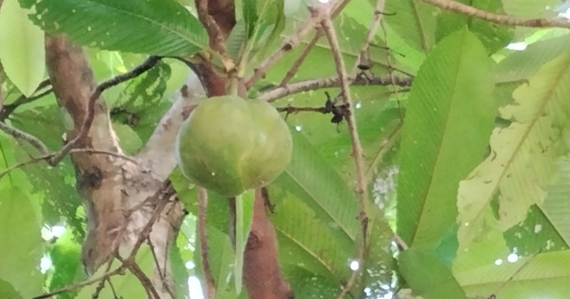 ছবি: প্রতিনিধি
