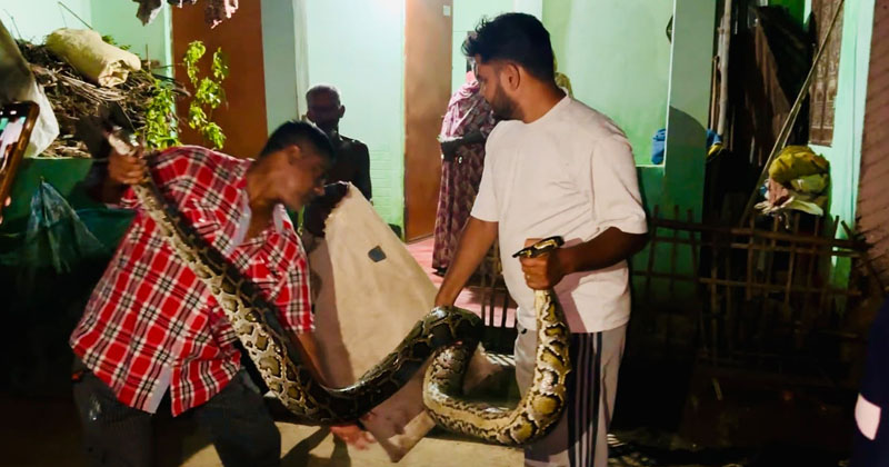 ছবি: প্রতিবেদক