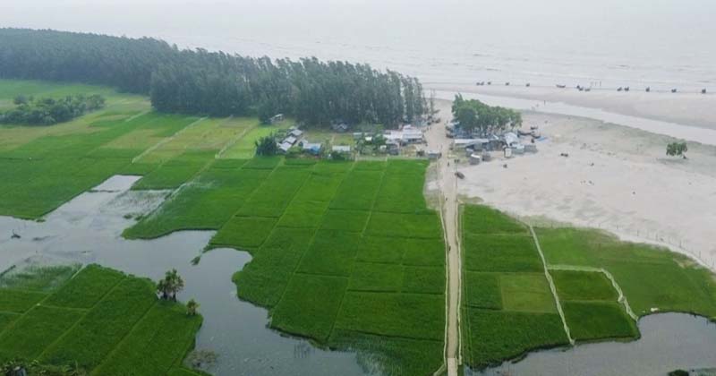 ছবি: প্রতিনিধি