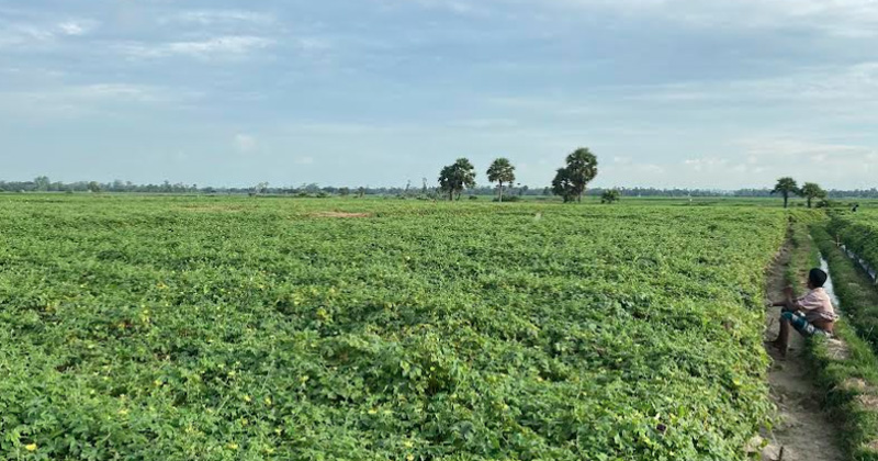 ছবি: প্রতিনিধি