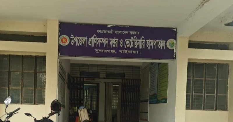 ছবি: প্রতিনিধি