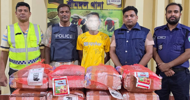 ছবি: প্রতিবেদক