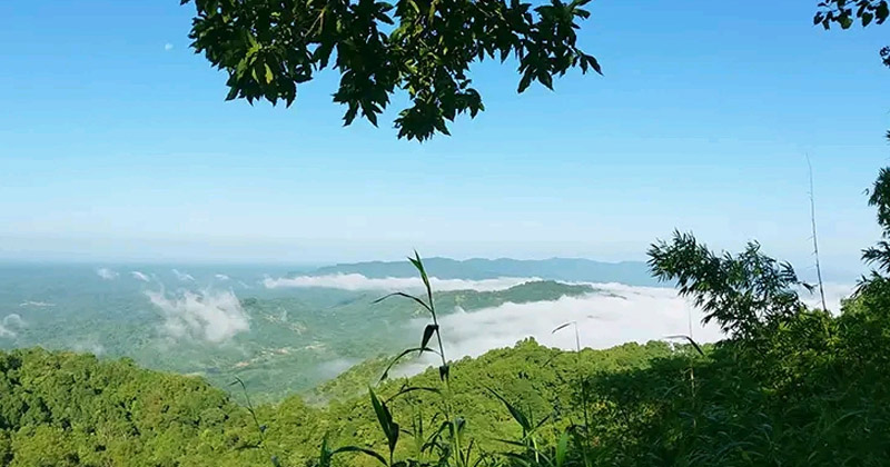 ছবি: প্রতিনিধি
