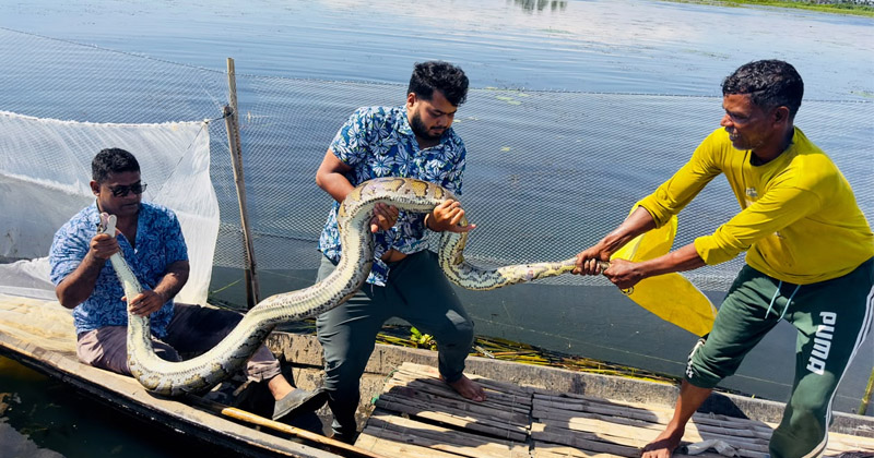 ছবি: প্রতিনিধি