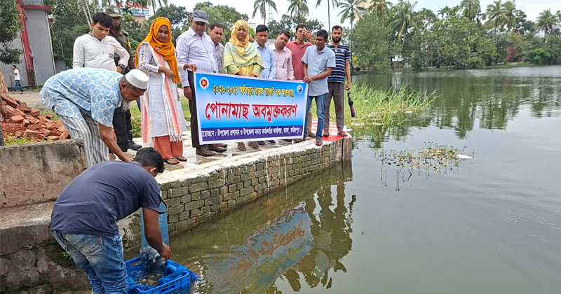 ভাঙ্গায় উন্মুক্ত ও প্রাতিষ্ঠানিক জলাশয়ে মাছের পোনা অবমুক্তকরণ