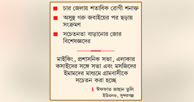 ছবি: খোলা কাগজ