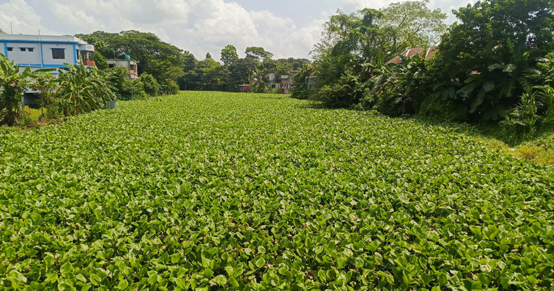 ছবি: প্রতিনিধি