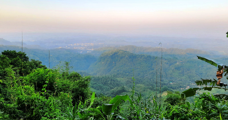 ছবি: প্রতিবেদক
