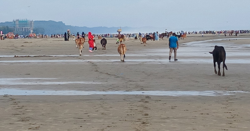 ছবি: প্রতিবেদক