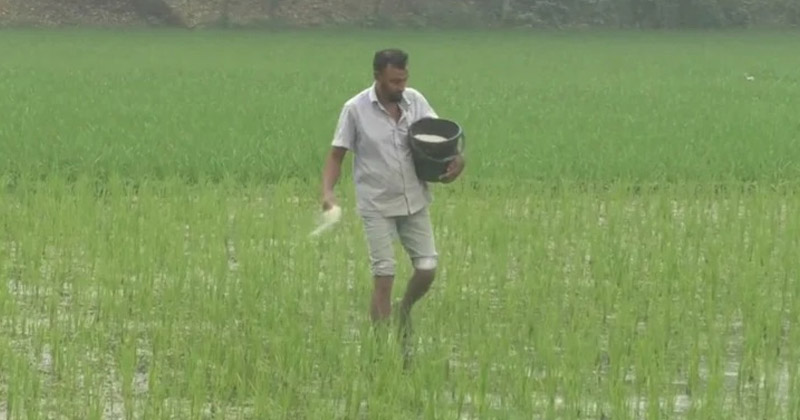 ছবি: প্রতিনিধি
