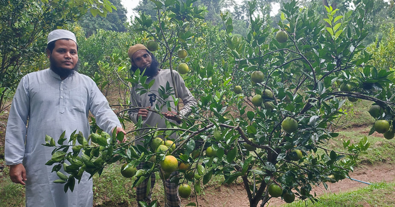 ছবি: প্রতিবেদক