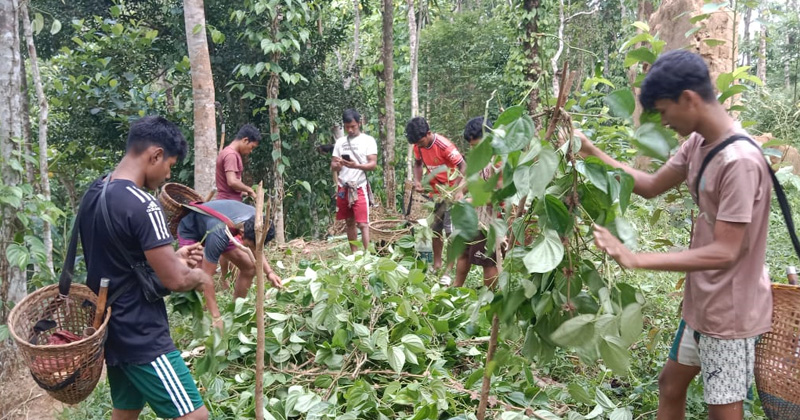 ছবি: প্রতিবেদক