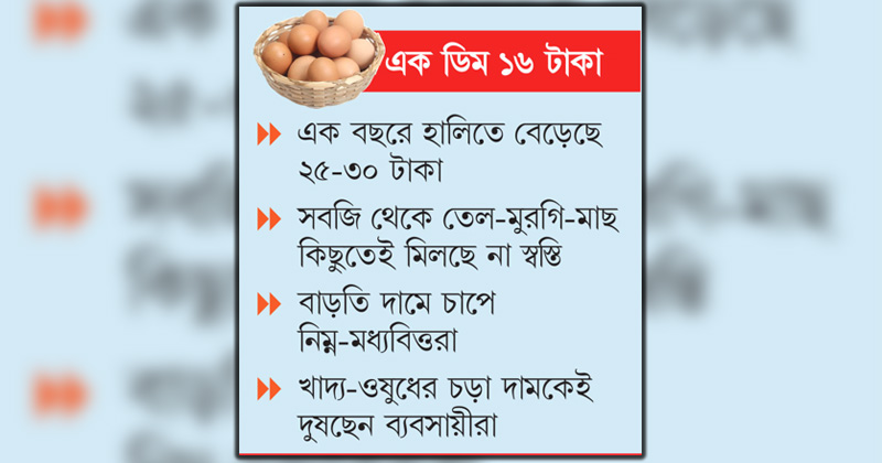 ছবি : খোলা কাগজ