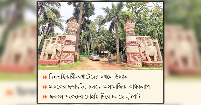 ছবি : খোলা কাগজ