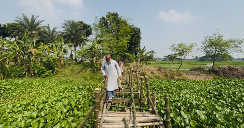 ছবি: প্রতিনিধি