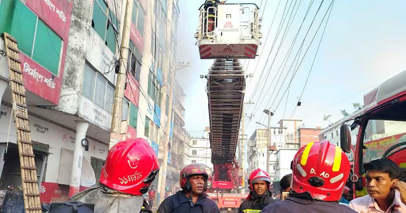 সংগৃহীত ছবি