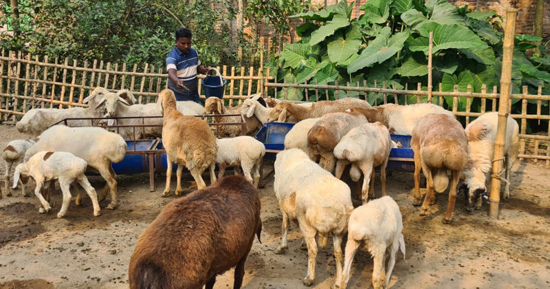 ছবি: প্রতিবেদক