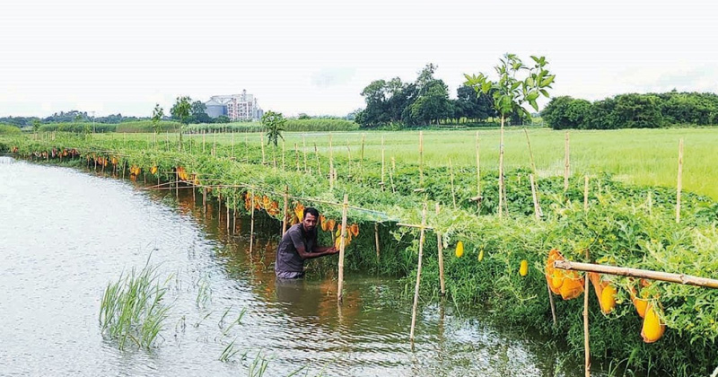 ছবি: প্রতিনিধি