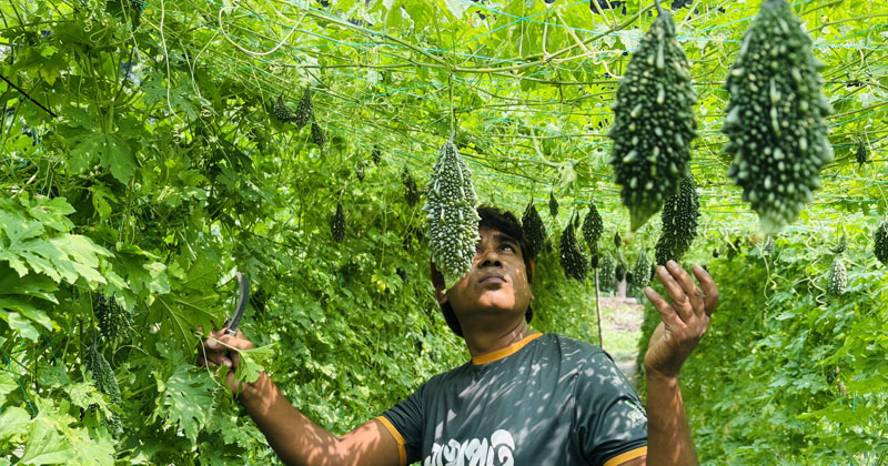ছবি: প্রতিনিধি